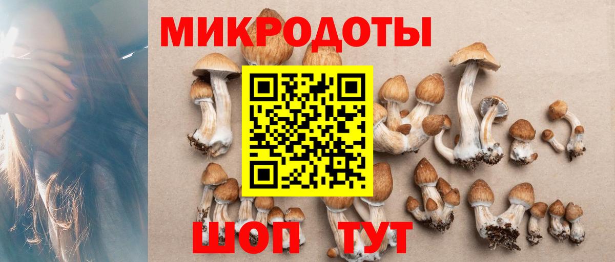 Галлюциногенные грибы Приморско-Ахтарск